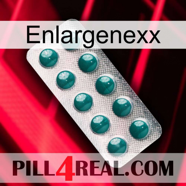 Enlargenexx dapoxetine1.jpg